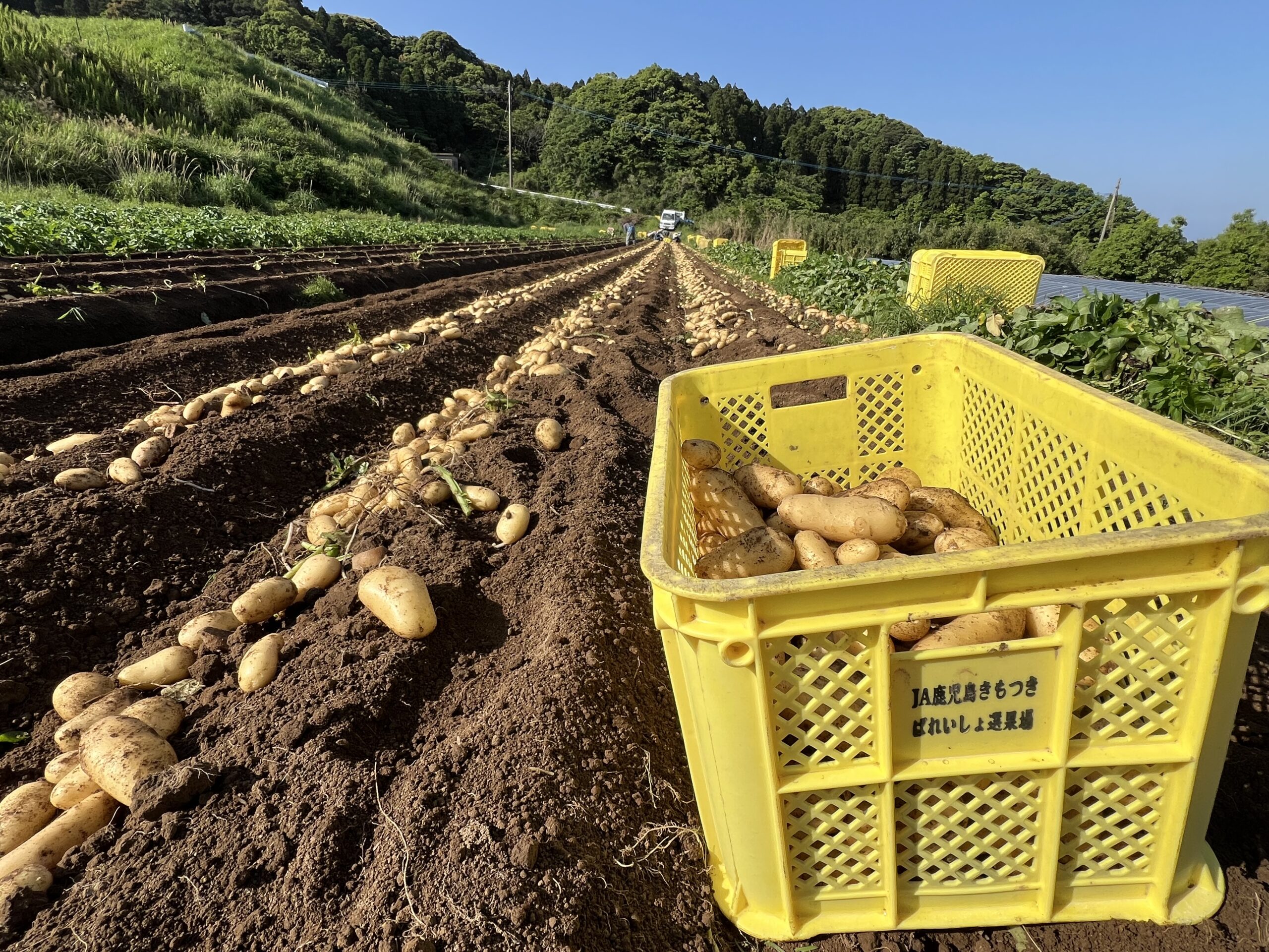 +αサポートプラン(複製)