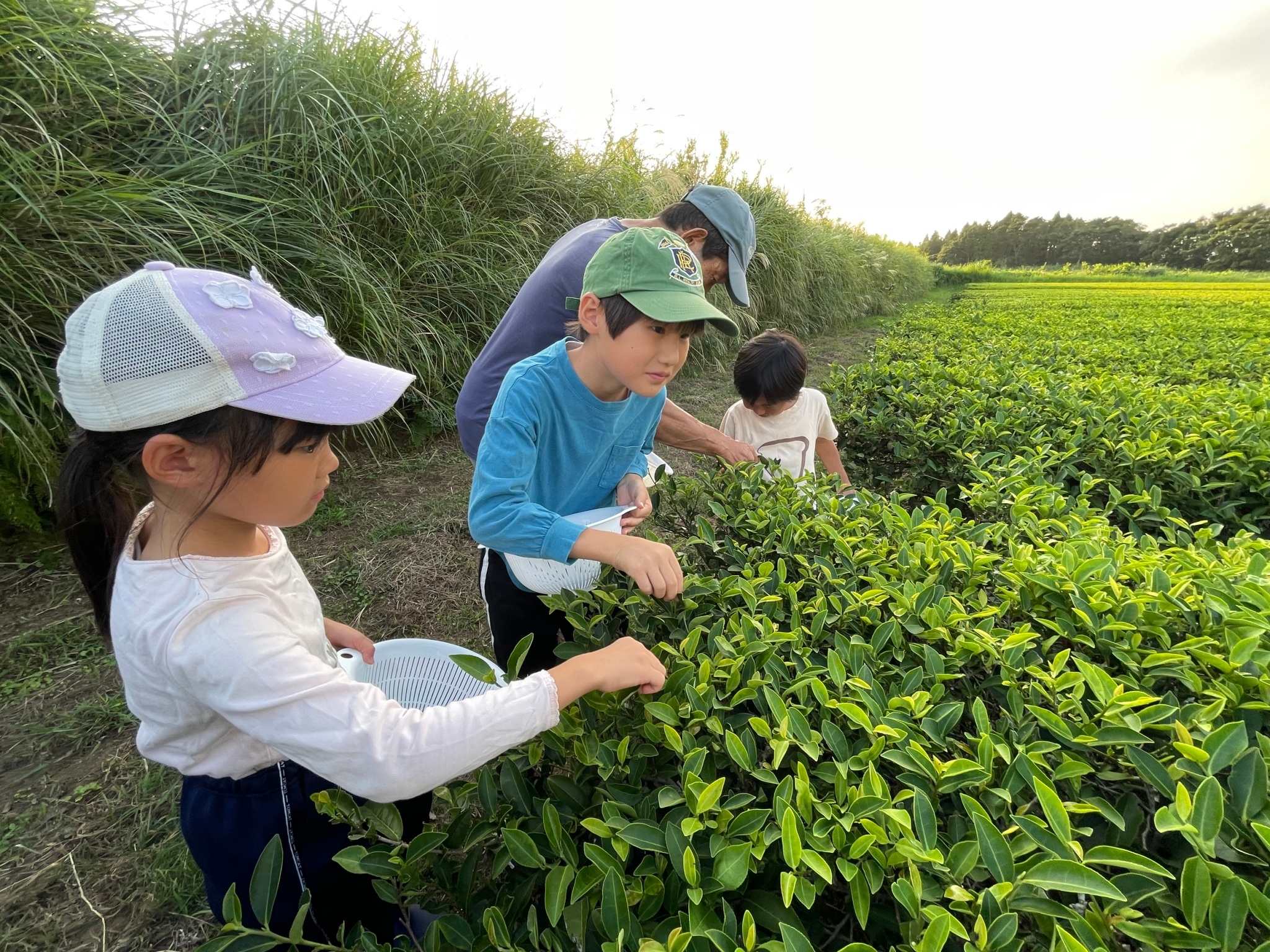 +αサポートプラン(複製)